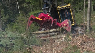 weiler forestry feller buncher quadco head