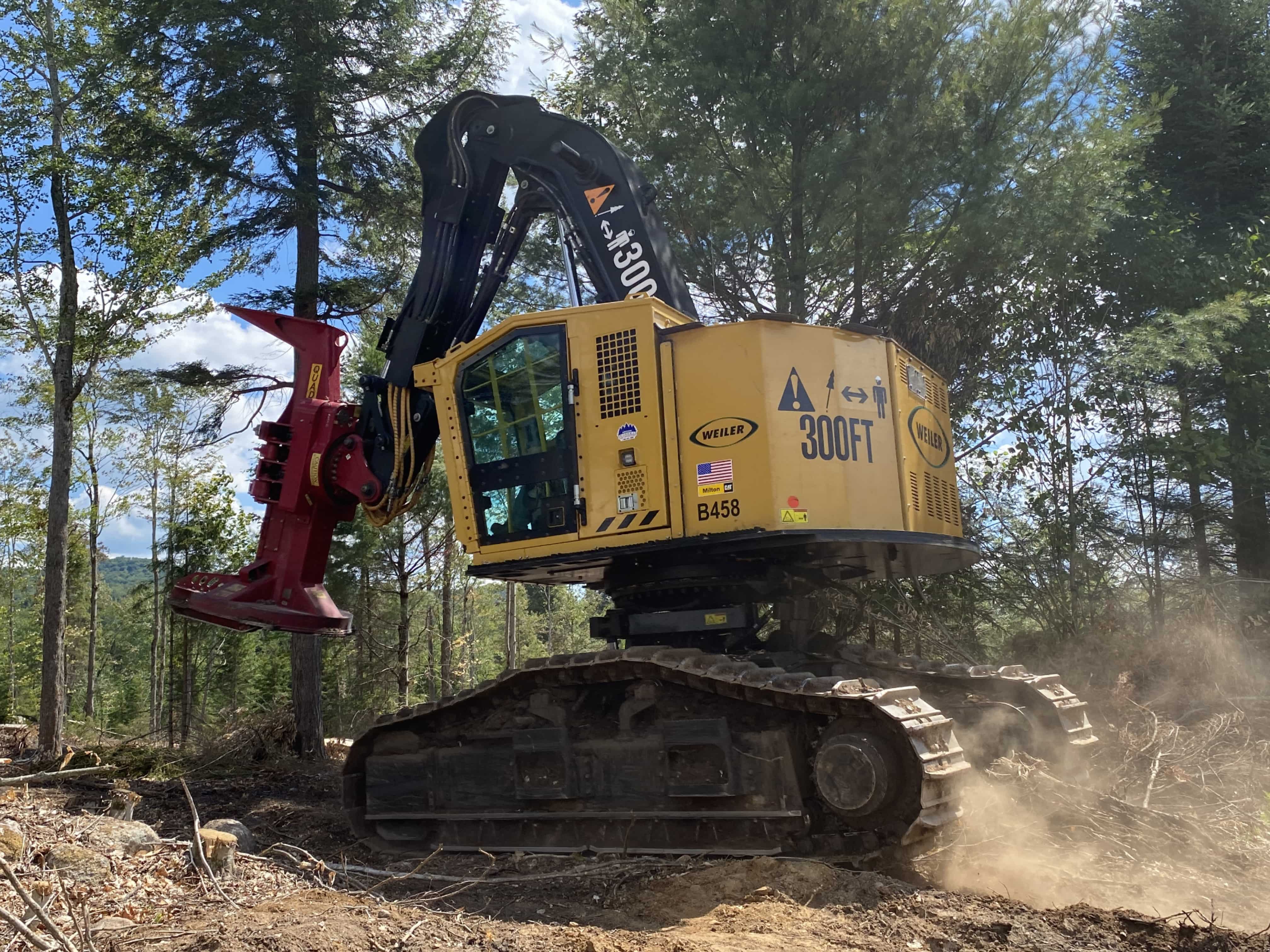 forestry-feller-buncher